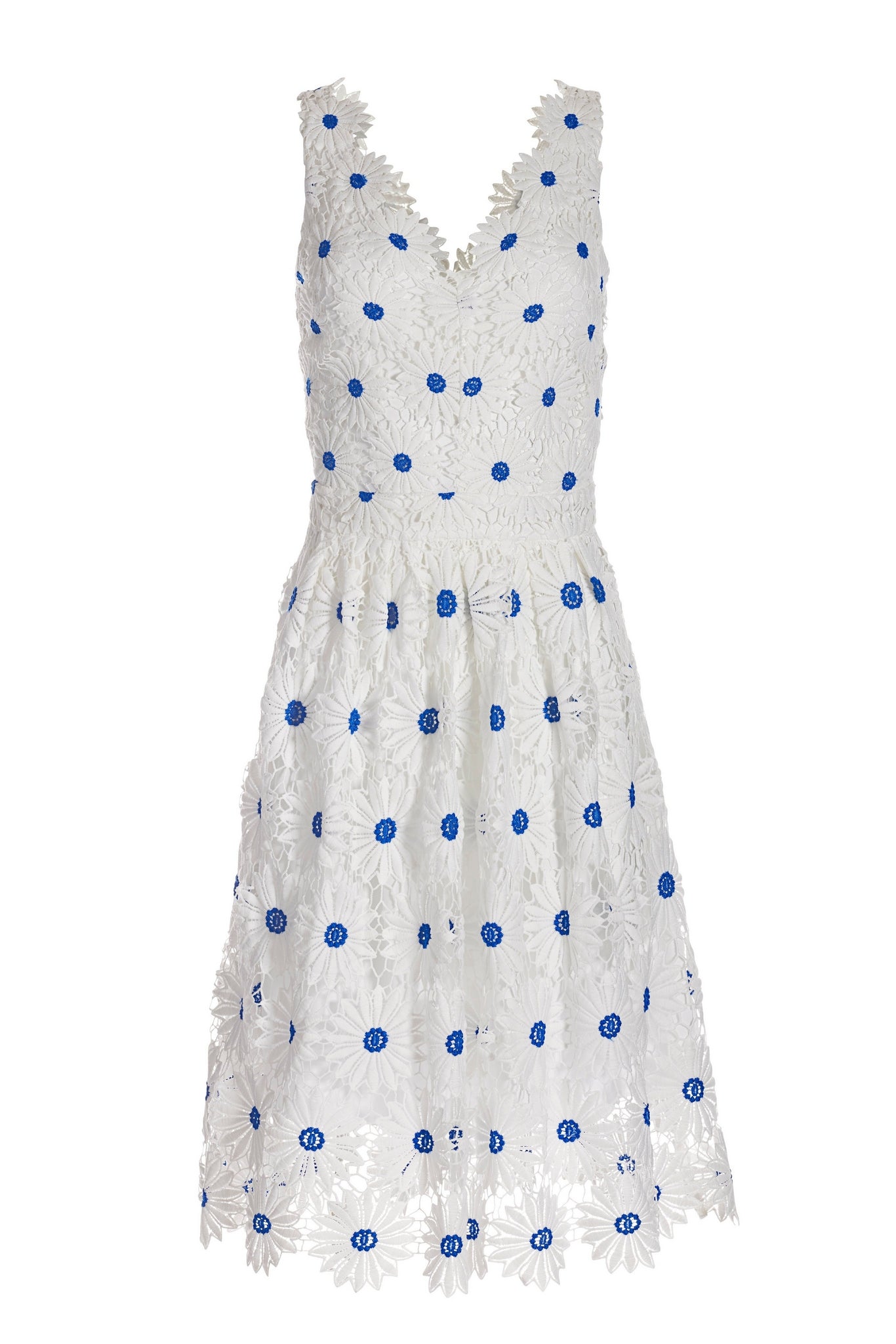 Daisy Lace Fit and Flare Dress White/Blue