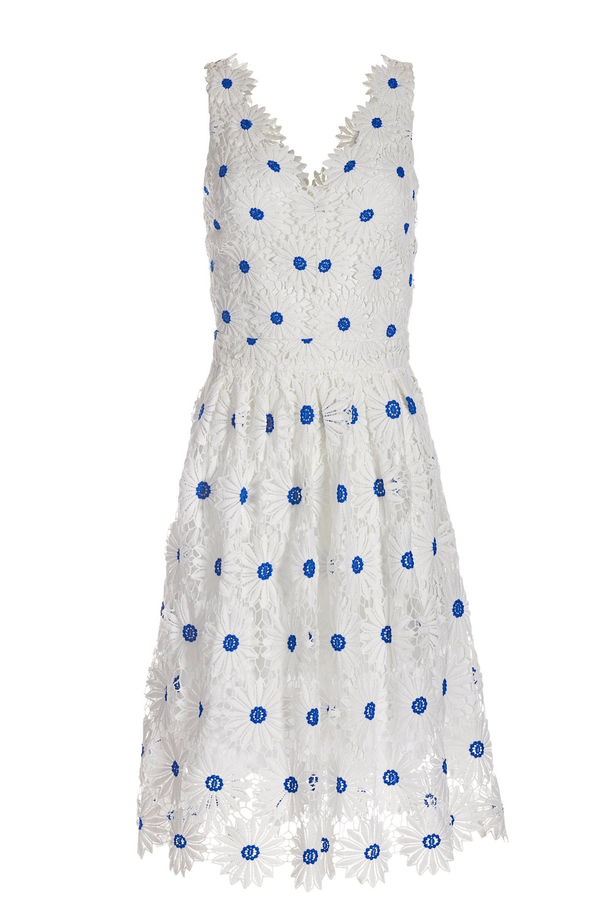 Daisy Lace Fit and Flare Dress White/Blue