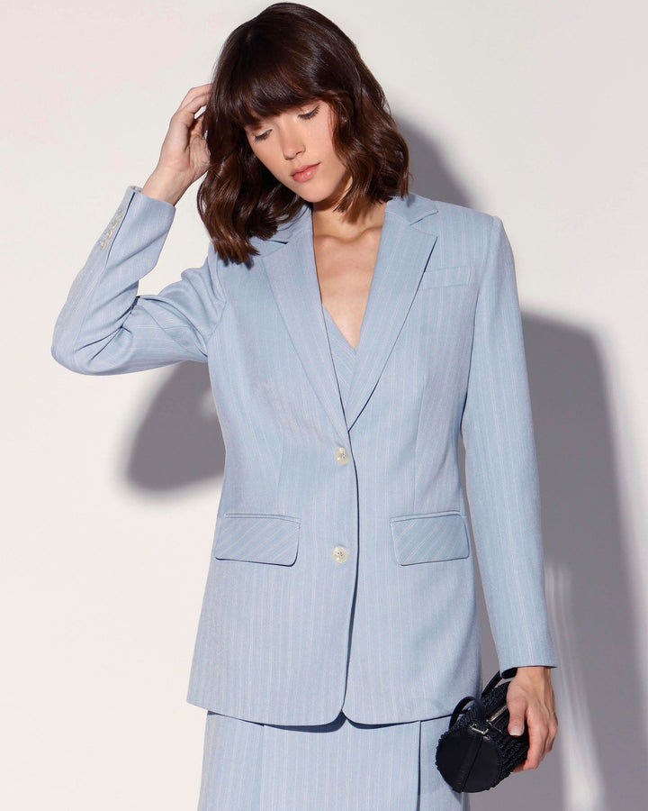 Shannon Blazer, Stone Pinstripe