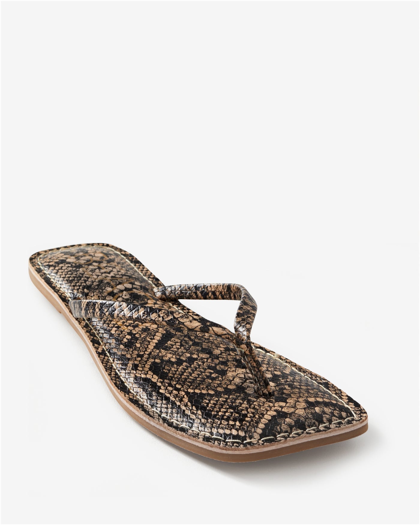 Beach by Matisse Basic Pool Slide Snake Multi