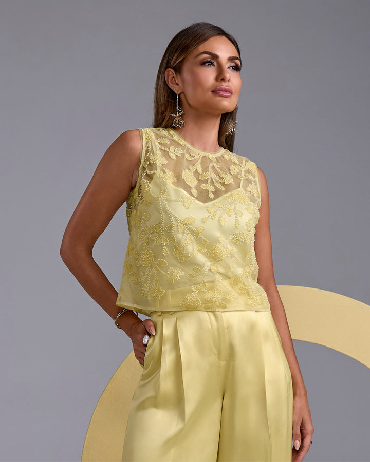Floral Embellished Mesh Woven Top Pale Banana