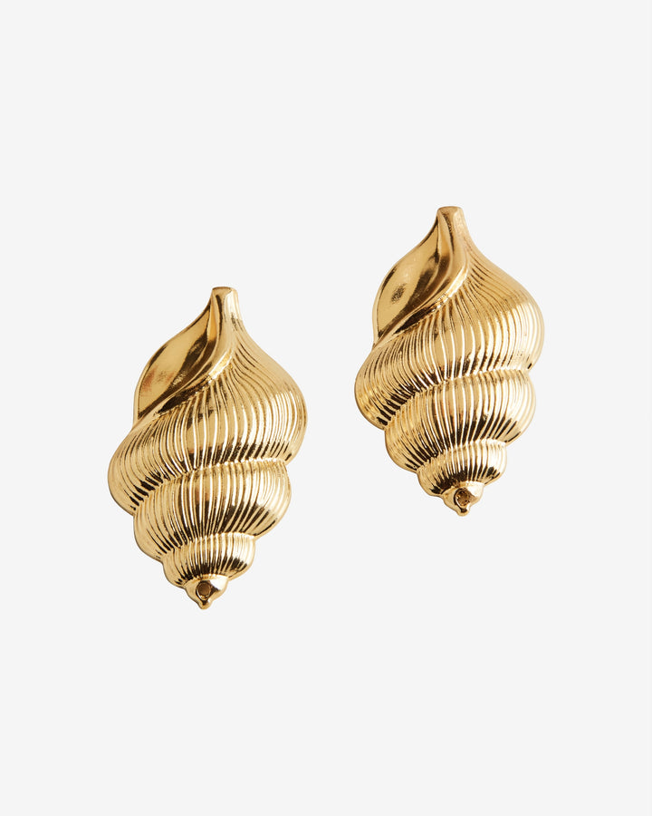 Gold Shell Earring Gold