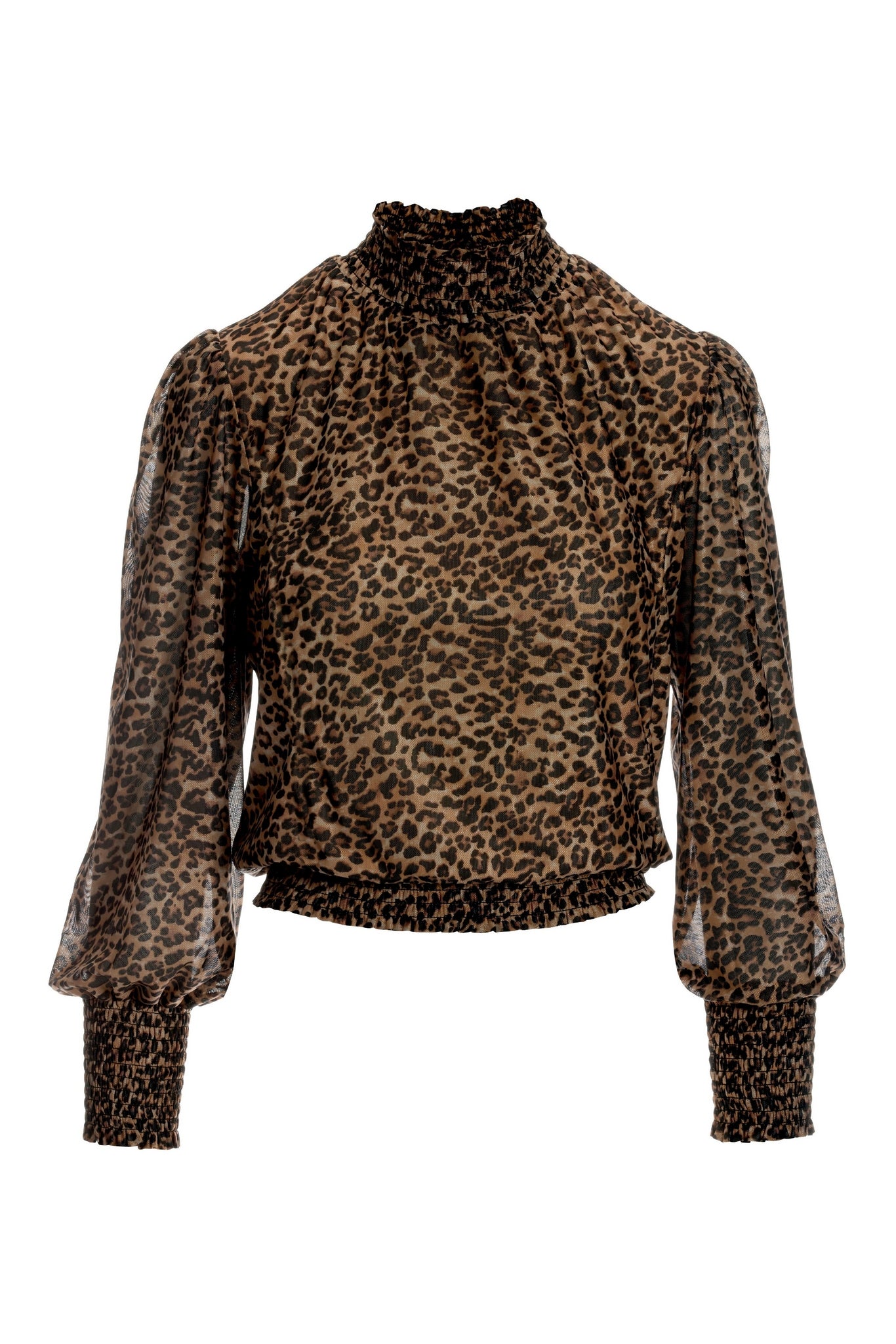 Leopard Mesh Turtleneck Multi