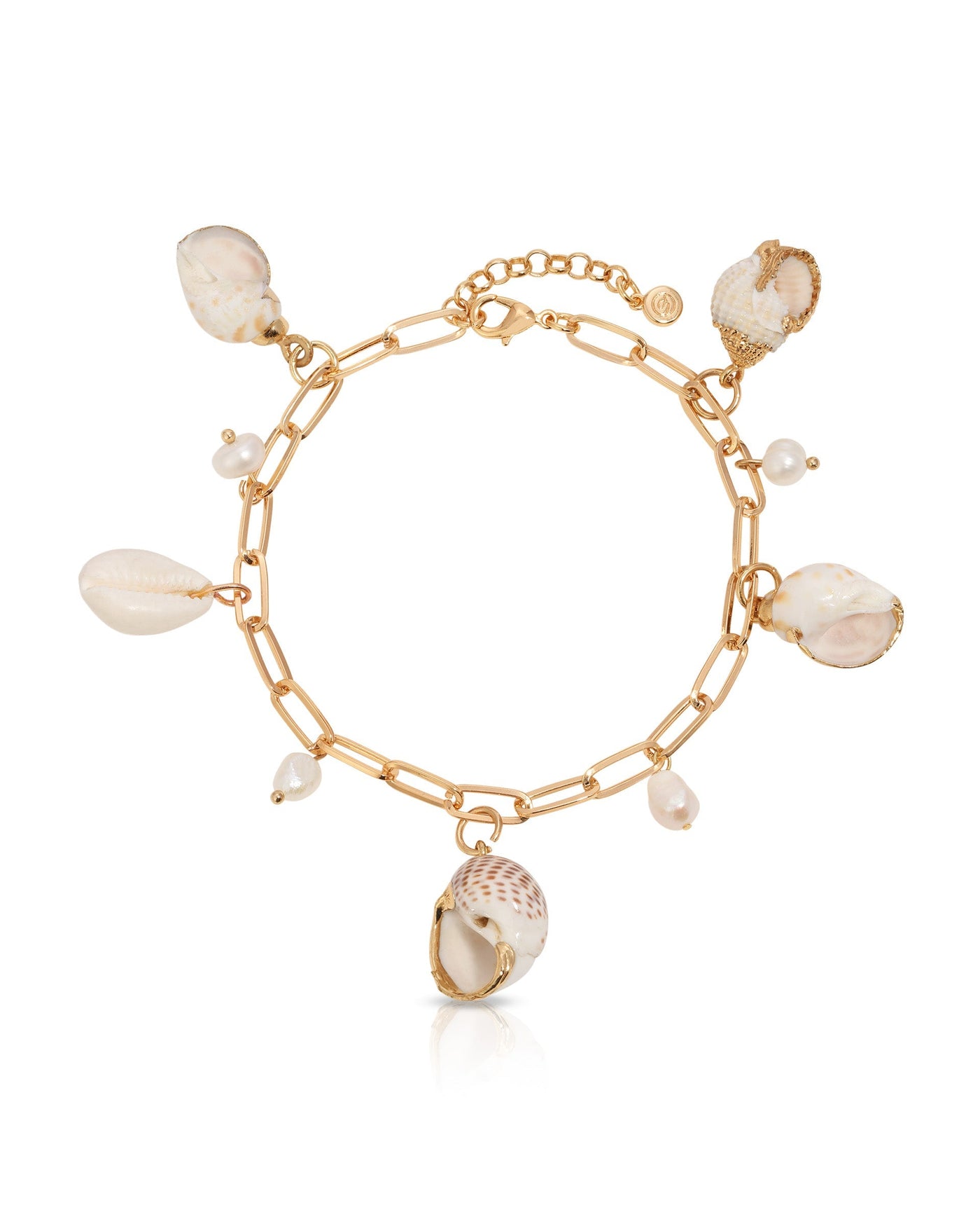 Paperclip Chain Multi-Shell Charm Anklet