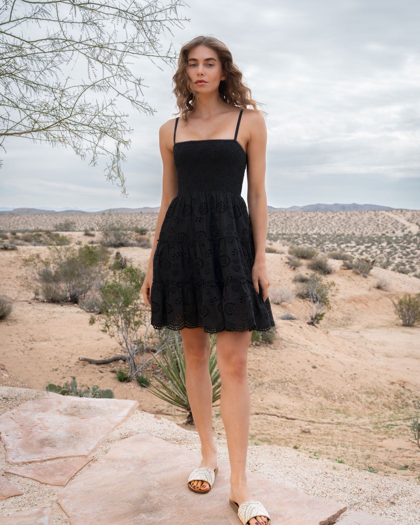 Hannah Dress In Black Eyelet