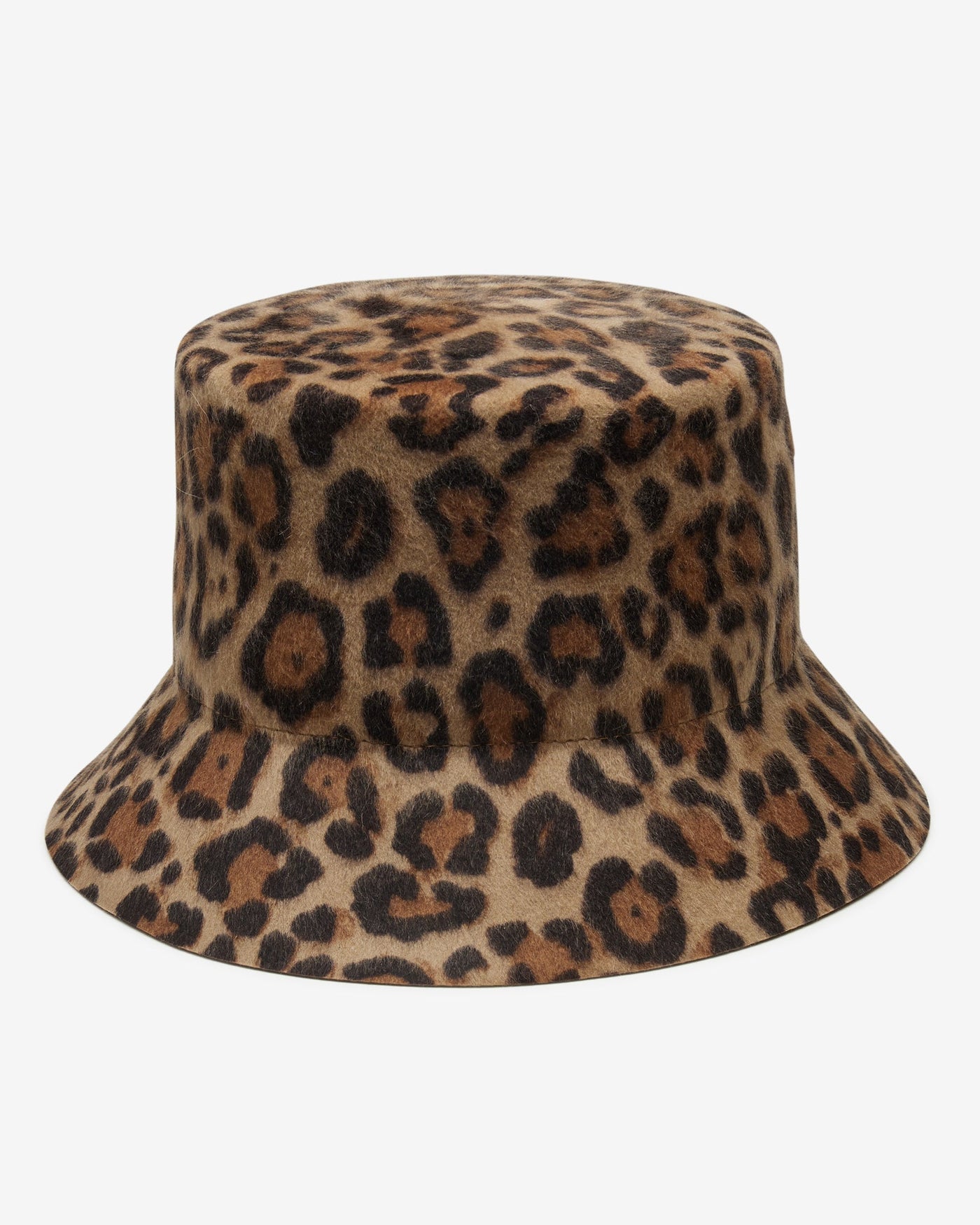 Tenley in Leopard
