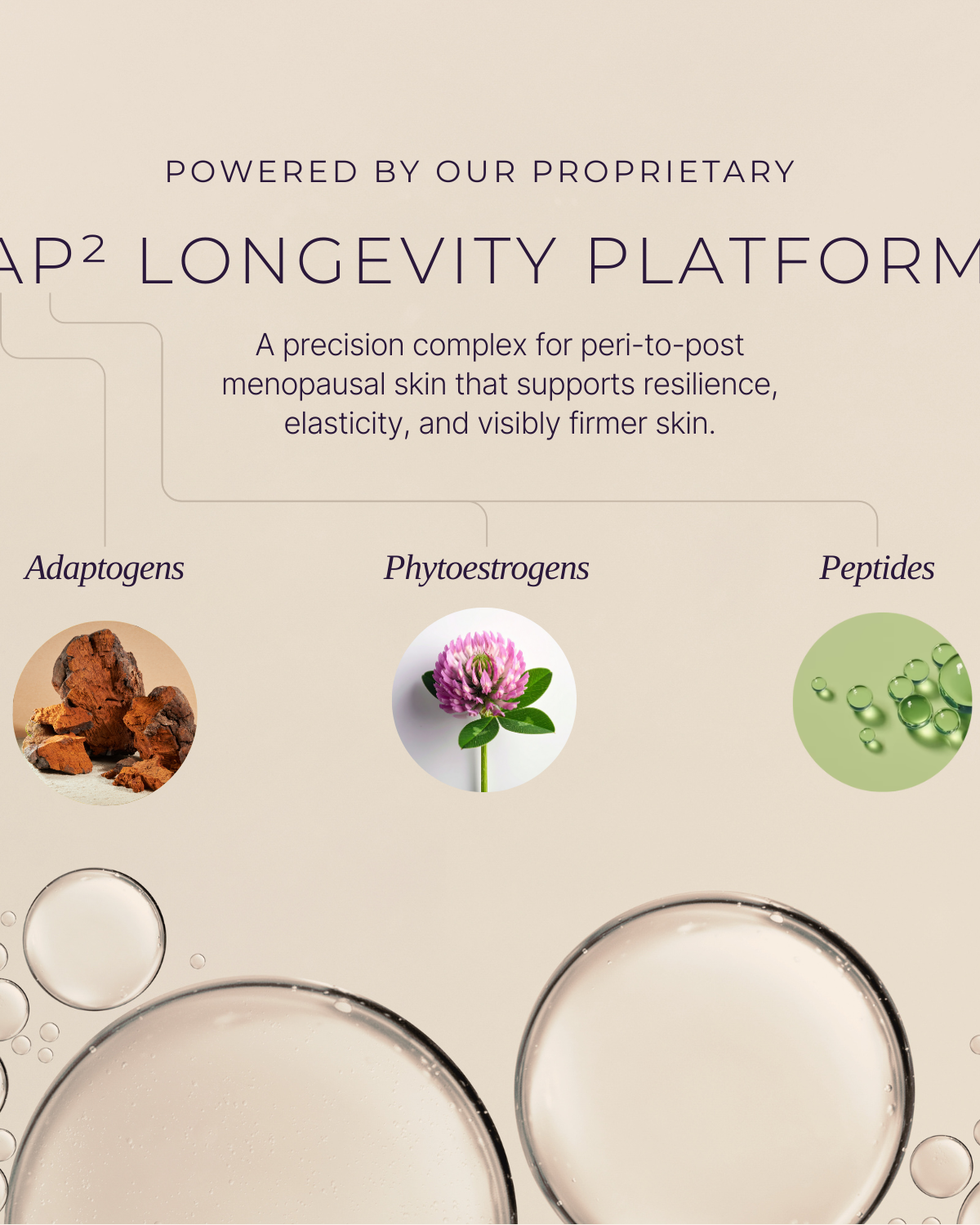 Replenishing Night Cream Tx